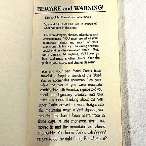 Choose Your Own Adventure Book.  Several Different Endings. - Picture 4 of 4